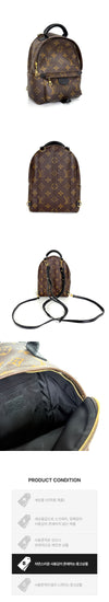 Louis Vuitton Mini Palm Springs Backpack N31BR0TI 162941204 [P]