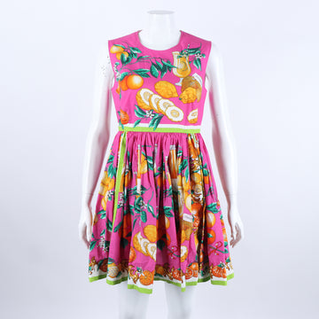 Dolce&Gabbana Sleeveless Dress 120921