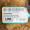JELLYCAT BARTHOLOMEW BEAR バートロメオベアミディアム 157339136 [P]