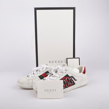 GUCCI 240mm Snake Ace Sneakers 456230 16476788
