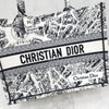 Dior Book Tote Medium Plan de Paris M1296ZOMP 5483 163154861 [P]
