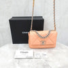 CHANEL 19 Pink Flap Bag Medium Model Internal Chip 6555 163156158 [P]