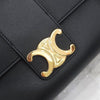 Celine Triomphe Medium Shoulder Bag 115853FDU 4909 163156224 [P]