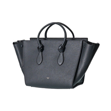 CELINE Kleine Tie Tote Bag 173823TKB 10AN 60493088