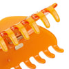 Etro Women's Profumi Hair Clip 04440 63 5 62310902 [P]