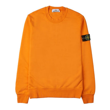 Stone Island Men's Badge Logo Cotton Sweatshirt V0032 101563051 73909632