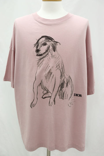 DIOR xダンカン グランド ドッグ プリント 半袖 Tシャツ 383J677A0817 87261823