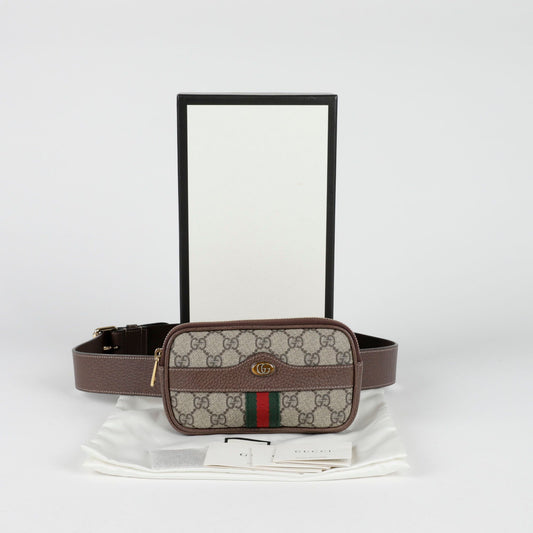 Gucci Mini Ophidia Belt Bag 519308 118024617