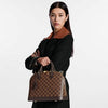 LOUIS VUITTON Alma PM N53151 78642359 [P]