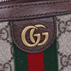 Gucci Ophidia GG Shoulder Bag / 699439 9C2ST 8920 47296085 [P]