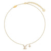 Louis Vuitton Iconic Enamel Necklace 116245414 [P]