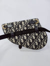 Bottega Veneta Dior Oblique Saddle Charm Belt Bag 125062256 [P]