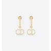 Dior Earrings E1740CDLCY_D301 126805324 [P]