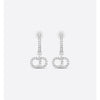 DIOR Clair D Lune Ohrringe E1740CDLCY_D13S 126805335 [P]