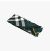 BURBERRY 8095832 B8636 レディース スカーフ 128273351 [P]