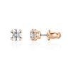 Swarovski Women's Earrings 5638801 39910288 [P]