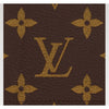 Louis Vuitton Passport Cover M64502 133101721 [P]