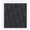 DIOR Vertical Wallet 2ESBH072YSE_H03E 133102292 [P]