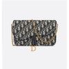 Dior Saddle Medium Chain Pouch 133105322 [P]