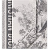 Dior Tous Scarf 15JOU106I602_C805 133105383 [P]