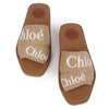 Chloe Flat Mules CHC23U188EF-24J 78881410 [P]