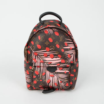 LOUIS VUITTON M41981 Palm Springs PM Größe Rucksack 136012178