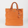 Prada Tote Shoulder Bag BN1713 136174385 [P]
