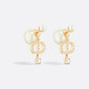 Dior Tribal Earrings E3364WOMCY_D03S 138827482 [P]