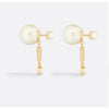 Dior Tribal Earrings E3364WOMCY_D03S 138827482 [P]