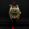 TUDOR ブラックベイ 58 ゴールドケース グリーンダイヤル 79018 未使用 最新型 39mm メンズ時計 2025年 保証書 ボックス 139183197 [P]