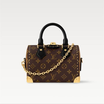 Louis Vuitton Speedy Trunk 20 M13146 139543529 [P]