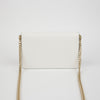 Prada Triangle Logo Chain Shoulder Crossbody Bag 1BD318 142569824 [P]