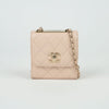 CHANEL Trendy CC Mini Schulter Crossbody Bag A81633 140679416 [P]