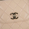 CHANEL Trendy CC Mini Schulter Crossbody Bag A81633 140679416 [P]
