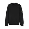 Stone Island Men's Organic Cotton Sweatshirt 142084229 [P]