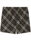 Burberry Check Swim Shorts 142645729 [P]