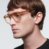 Celine CL50130I 047 Transparent Brown Oversized Square Horn Rimmed Eyewear 101621195 [P]
