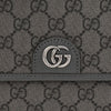 GUCCI ミディアムメッセンジャーバッグ 761741-FACJY-1244 145899772 [P]