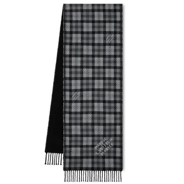 LOUIS VUITTON Bich Damier Schal M96762 145967286