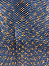 Louis Vuitton Department Store Edition Gradient Mesh Jacket Size 48 146374678 [P]