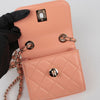 CHANEL Trendy CC Mini Schulter Crossbody Bag A81633 146364286 [P]