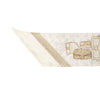 Coach Limited Edition Women's Silk Scarf 148403023 [P]