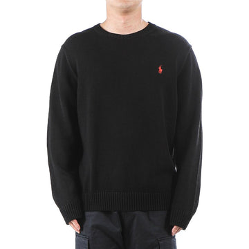 POLO RALPH LAUREN Herrenstrickwaren 25FW (710810846 020) 149083024