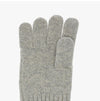Polo Ralph Lauren Flag Touch Screen Gloves 149348006 [P]