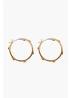 TORY BURCH スタッドフープイヤリング 65094 720 151102997 [P]
