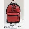Coach Backpack 152256243 [P]