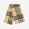 Burberry Unisex Scarf 152531141 [P]