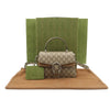 Gucci Beige Suede Dionysus Small Top Handle 2WAY / 739496 152658022 [P]