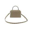 Gucci Beige Suede Dionysus Small Top Handle 2WAY / 739496 152658022 [P]
