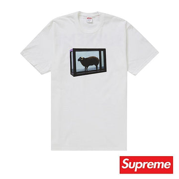 SUPREME 25SS Tシャツ ホワイト デミアン ハースト Tシャツ 正品100% 151828166
